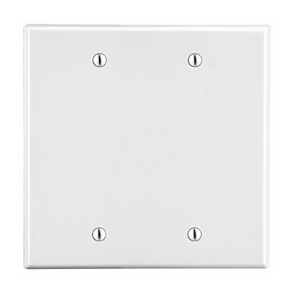 Two Gang Blank Wall Plate With Screw Holes